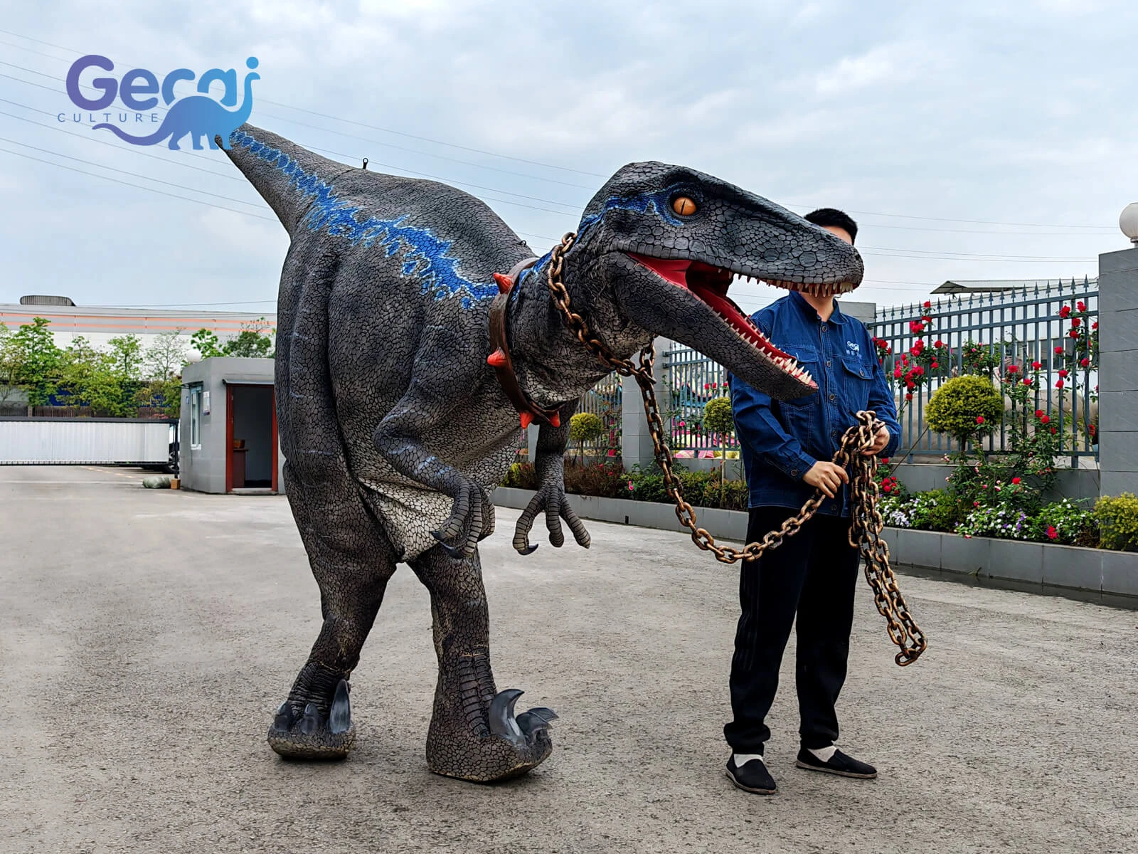 Velociraptor Dinosaur Costume for Entertainment