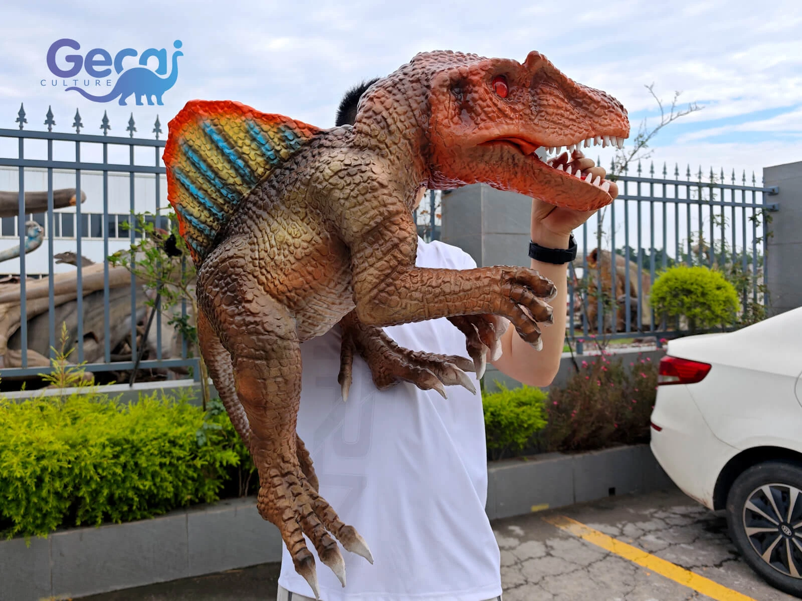 Life Size Spinosaurus Puppet for Events is a realistic and impressive performance prop designed for theme parks, exhibitions, festivals, educational activities, and large-scale entertainment events. Featuring the Spinosaurus’ iconic sail-shaped back, long crocodile-like snout, detailed skin textures, and lifelike dinos...