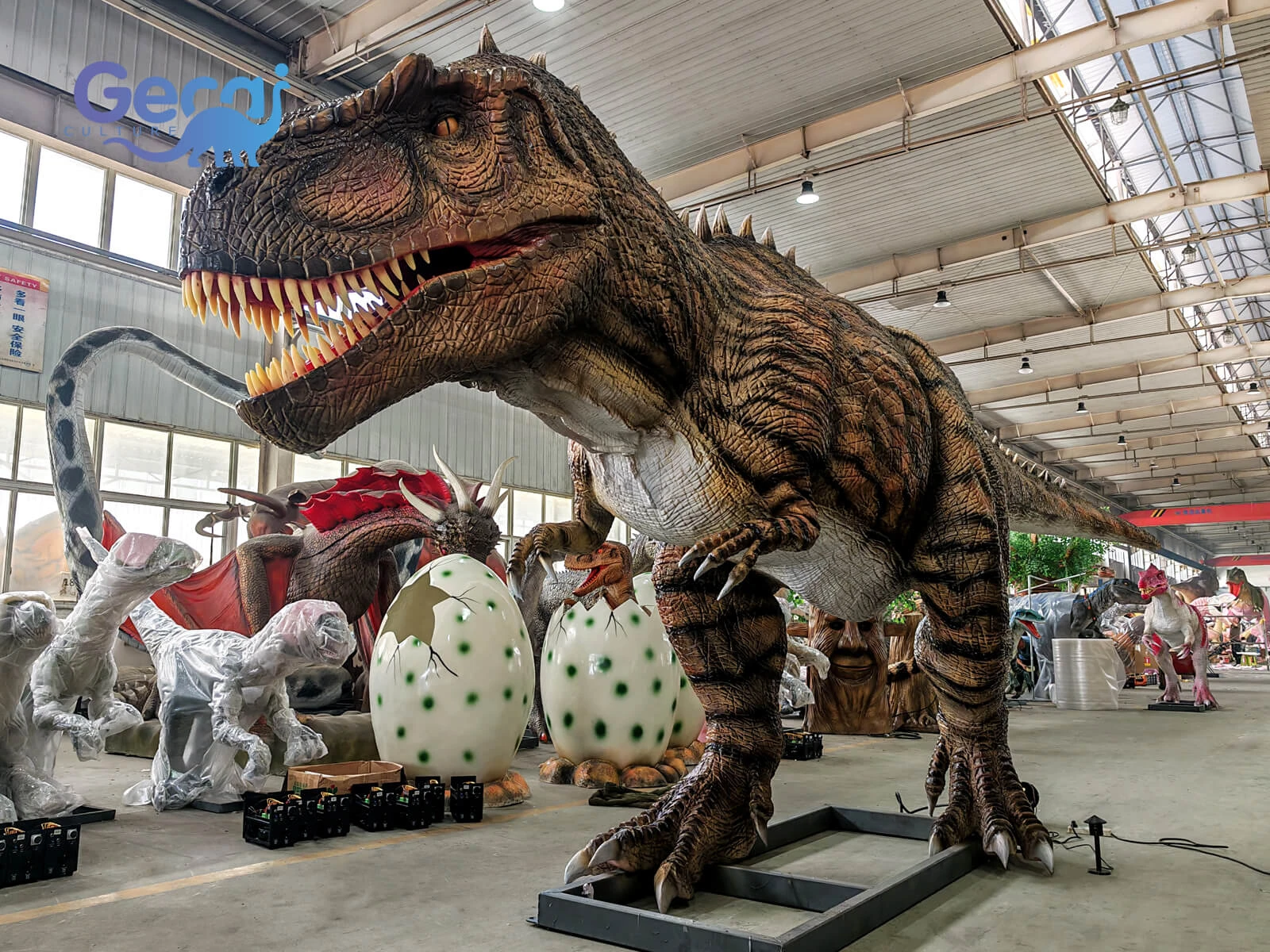 Realistic animatronic Giganotosaurus for museum displays and dinosaur exhibitions. Custom size, color, movements and display options available.