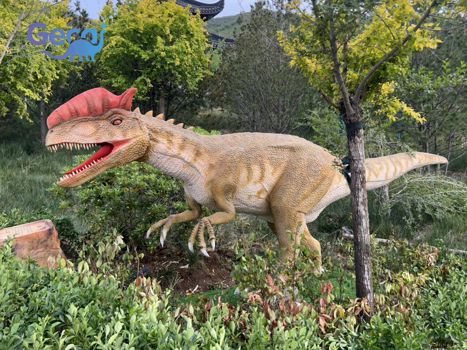 Realistic animatronic Dilophosaurus with water spray, lifelike movements and sounds. Custom dinosaur models for parks, exhibitions and attractions.