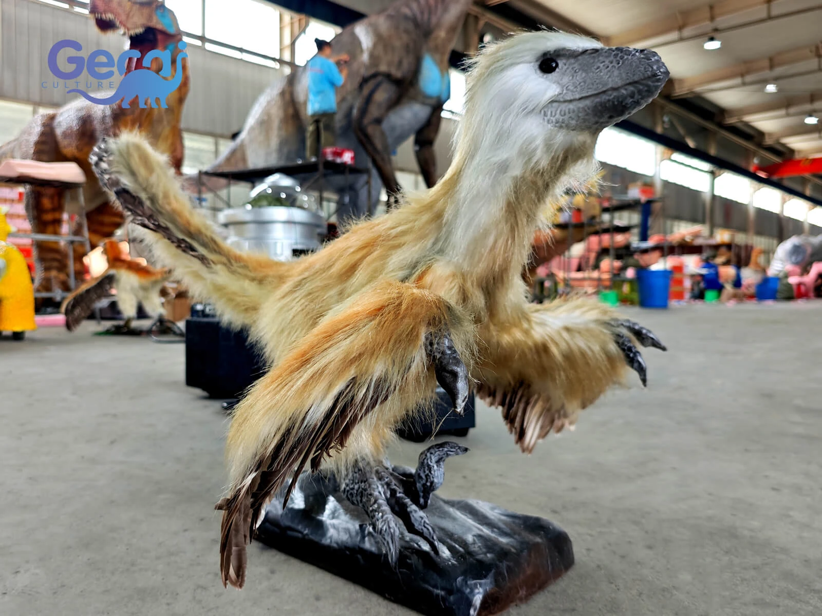 Small animatronic feathered Velociraptor with realistic feathers and lifelike movements. Custom dinosaur models for museums, parks and exhibitions.