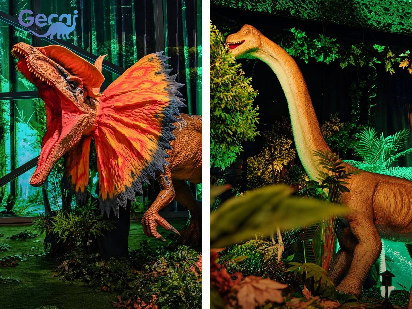 Dinosaur Park Project in Brazil