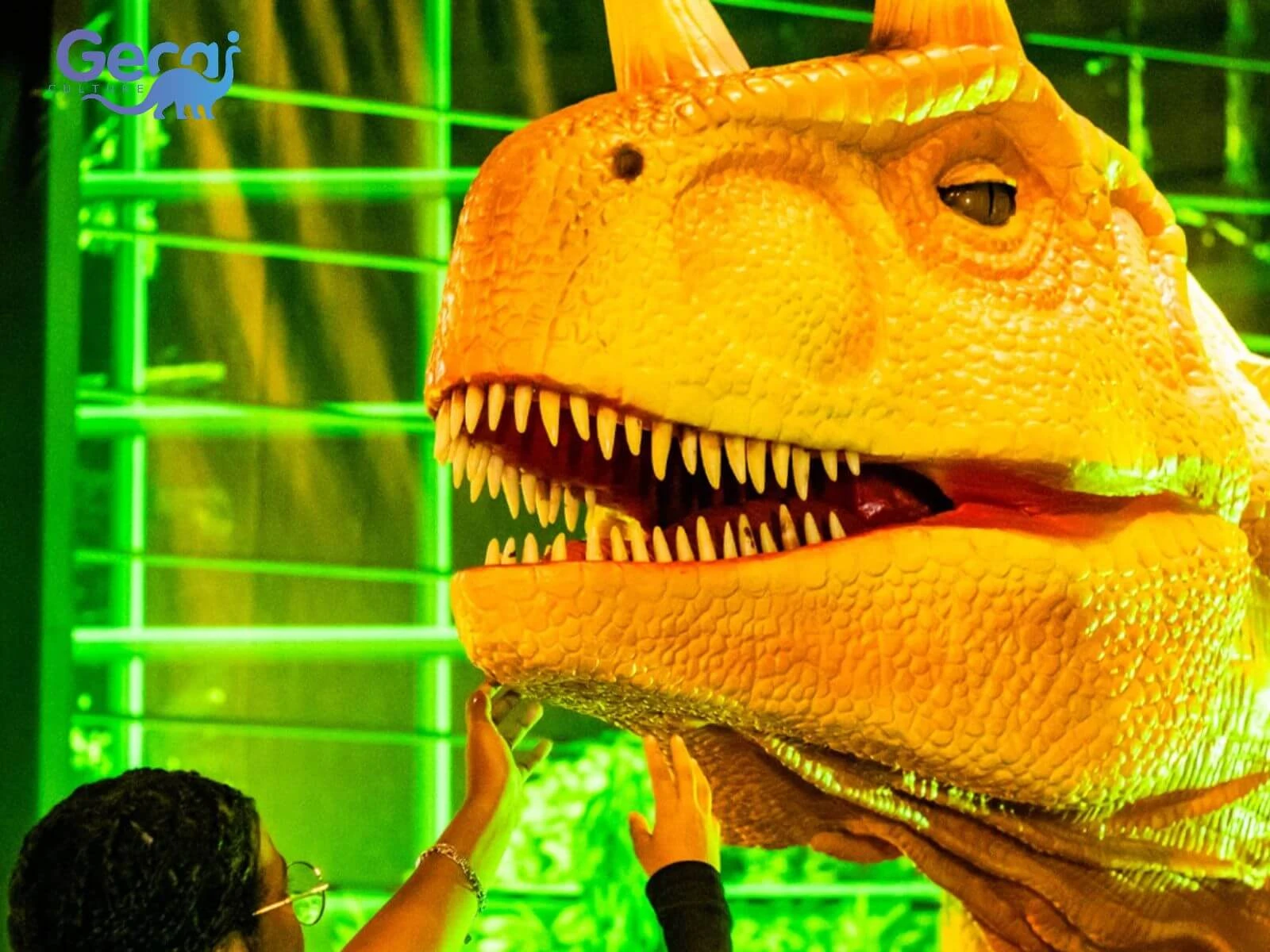 Dinosaur Park Project in Brazil