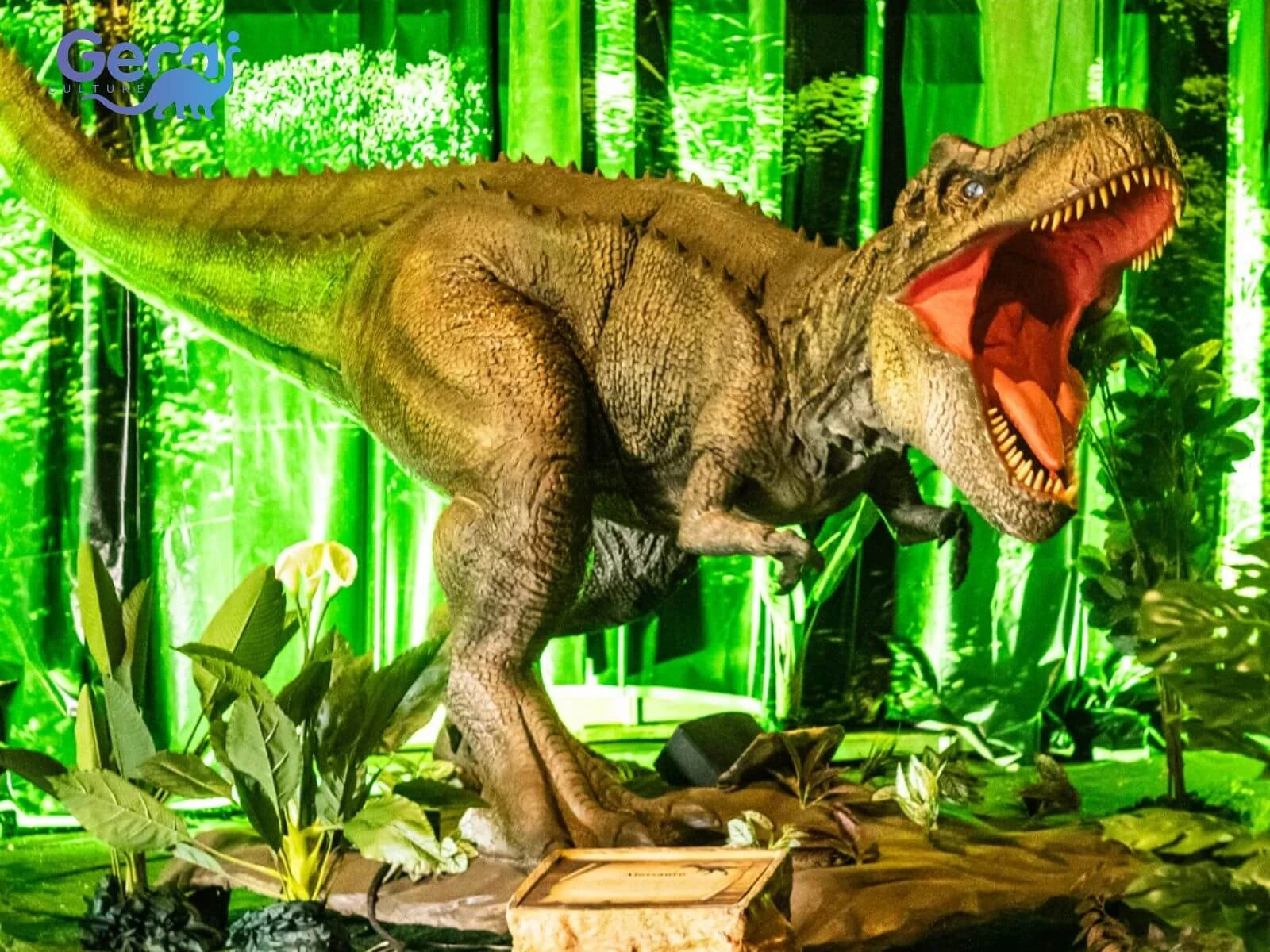 Dinosaur Park Project in Brazil