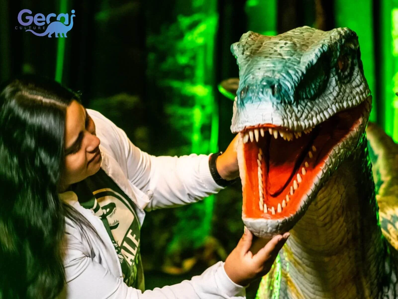 Dinosaur Park Project in Brazil