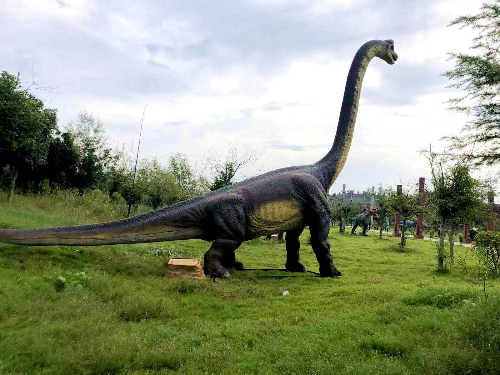Dinosaur Park in Texas, USA