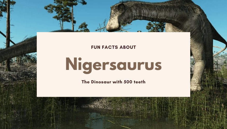 Fun Facts About Nigersaurus: The Dinosaur with 500 Teeth-Dinosaur ...