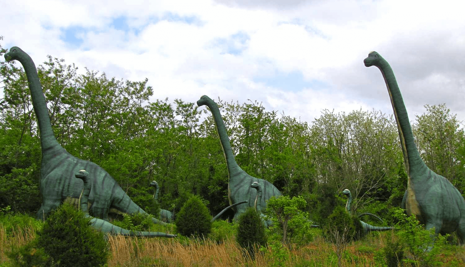 Brachiosaurus vs Brontosaurus: Titans of the Jurassic and Cretaceous ...