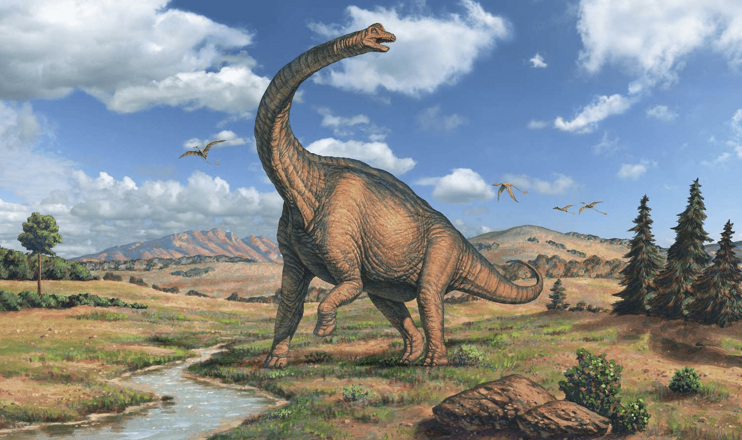 Brachiosaurus vs Brontosaurus: Titans of the Jurassic and Cretaceous ...