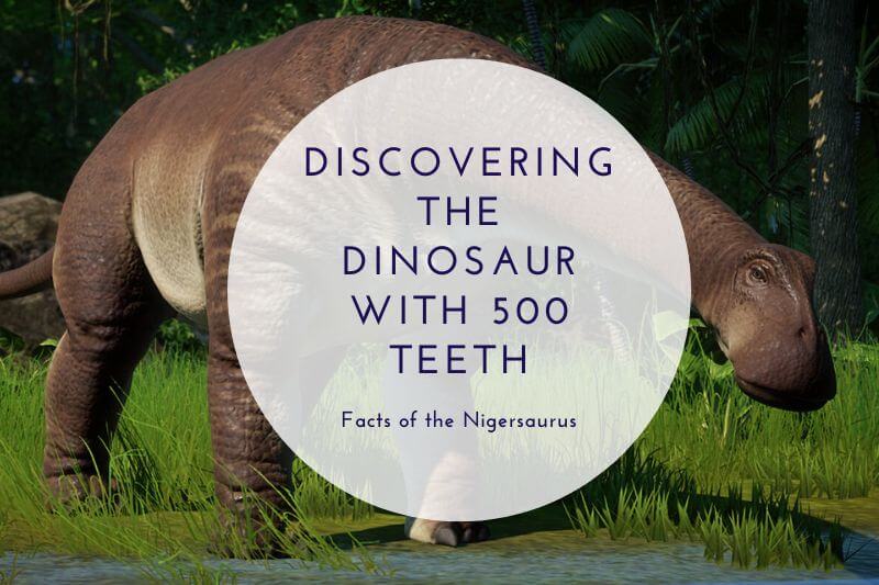 Discovering the Dinosaur with 500 Teeth: Facts of the Nigersaurus