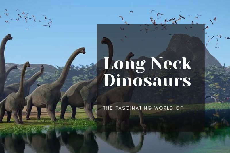 The Fascinating World of Long Neck Dinosaurs