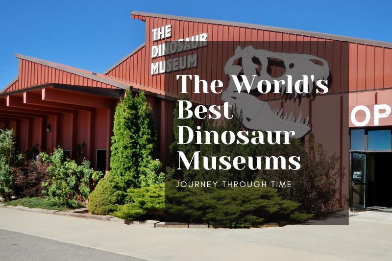 Journey Through Time: The World's Best Dinosaur Museums