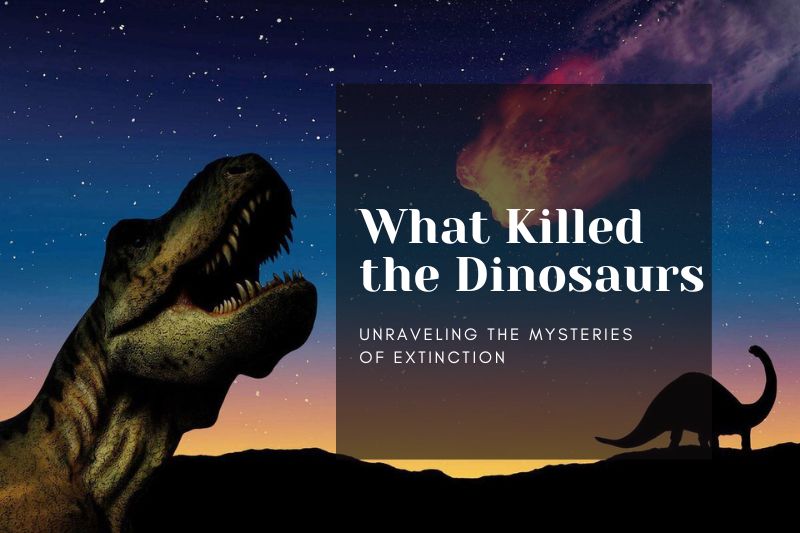 What Killed the Dinosaurs: Unraveling the Mysteries of Extinction