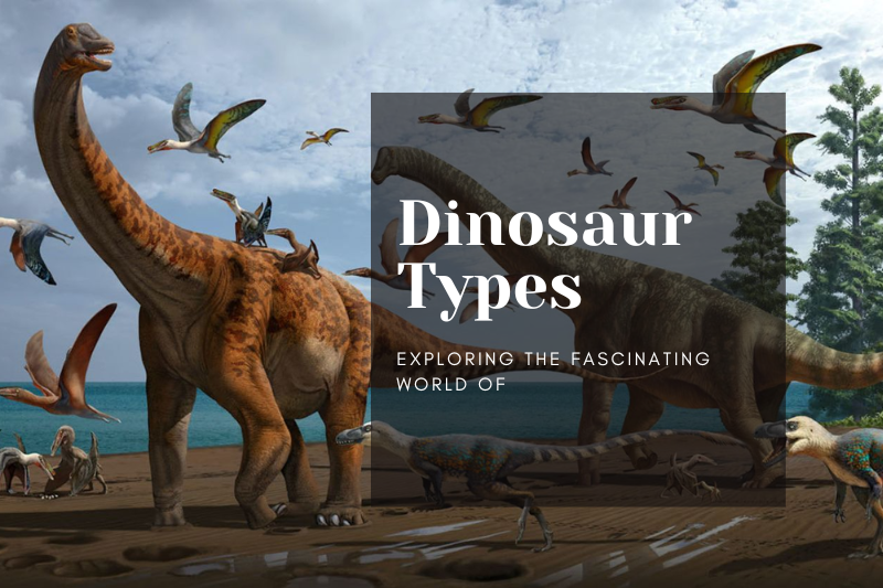 Exploring the Fascinating World of Dinosaur Types