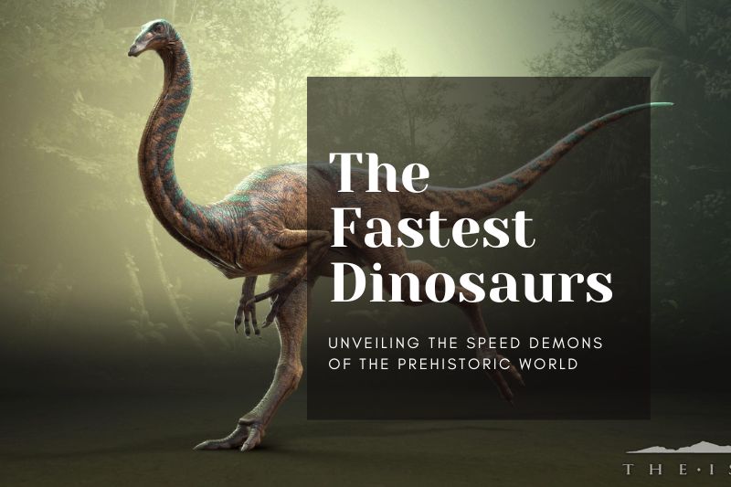The Fastest Dinosaurs: Unveiling the Speed Demons of the Prehistoric World