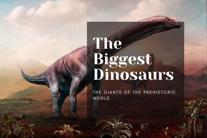 The Giants of the Prehistoric World: The Biggest Dinosaurs