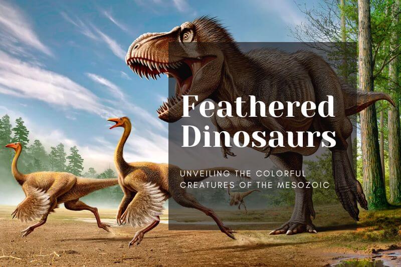 Feathered Dinosaurs: Unveiling the Colorful Creatures of the Mesozoic