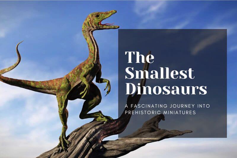 The Smallest Dinosaurs: A Fascinating Journey into Prehistoric Miniatures