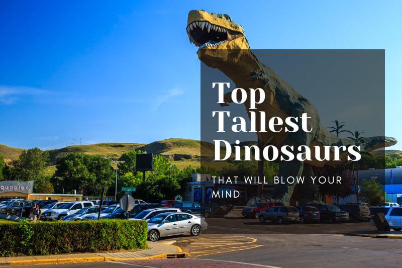 Discover the Top Tallest Dinosaurs That Will Blow Your Mind