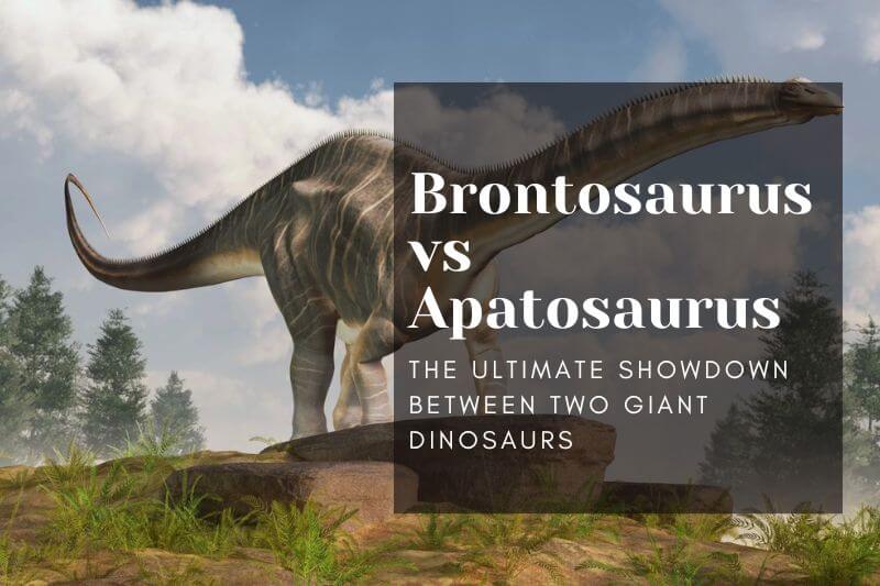 Brontosaurus vs Apatosaurus: The Ultimate Showdown Between Two Giant Dinosaurs