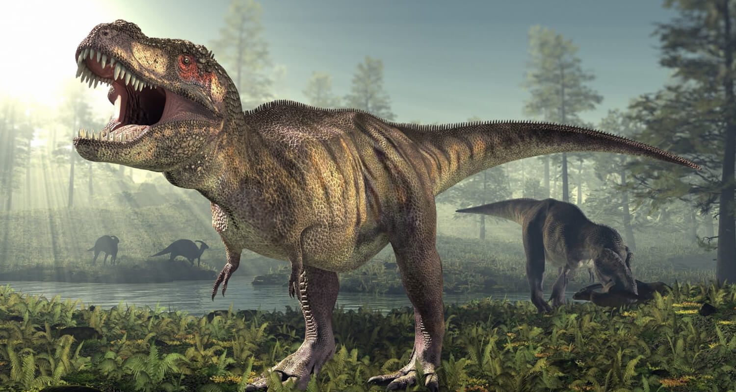 Detailed Facts About T. Rex That Will Change Everything You Thought You Knew6