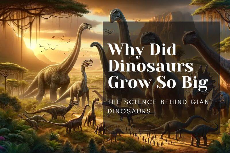 Why Did Dinosaurs Grow So Big? The Science Behind Giant Dinosaurs