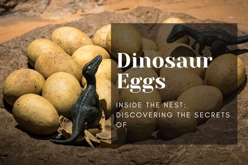 Inside the Nest: Discovering the Secrets of Dinosaur Eggs