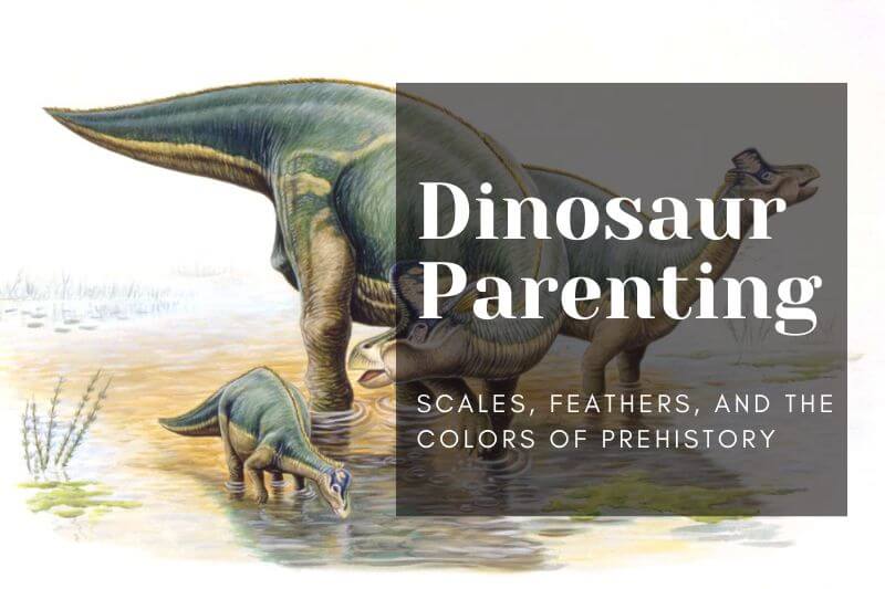 Dinosaur Parenting: How Did Dinosaurs Care for Their Young