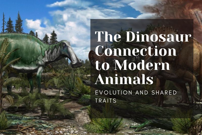 The Dinosaur Connection to Modern Animals: Evolution and Shared Traits