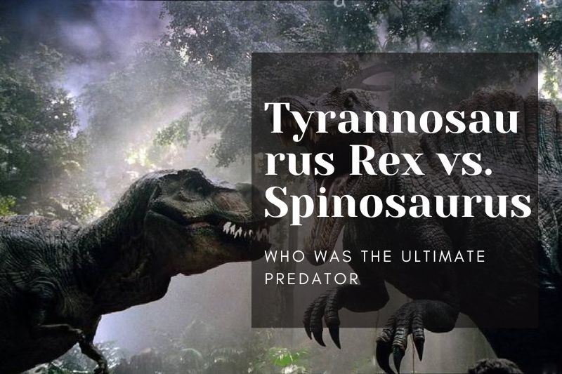 Tyrannosaurus Rex vs. Spinosaurus: Who Was the Ultimate Predator