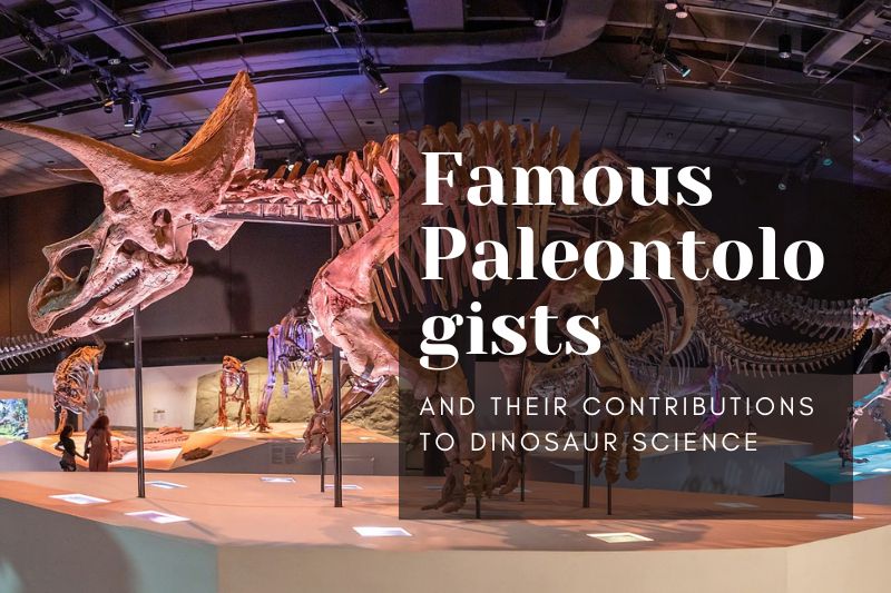 Famous Paleontologists and Their Contributions to Dinosaur Science