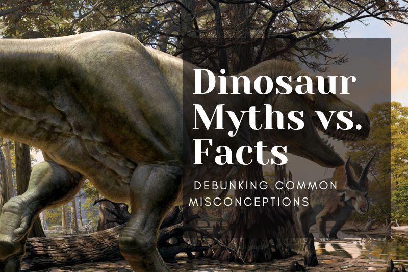 Dinosaur Myths vs. Facts: Debunking Common Misconceptions