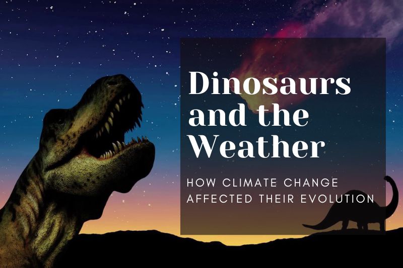 Dinosaurs and the Weather: How Climate Change Affected Their Evolution