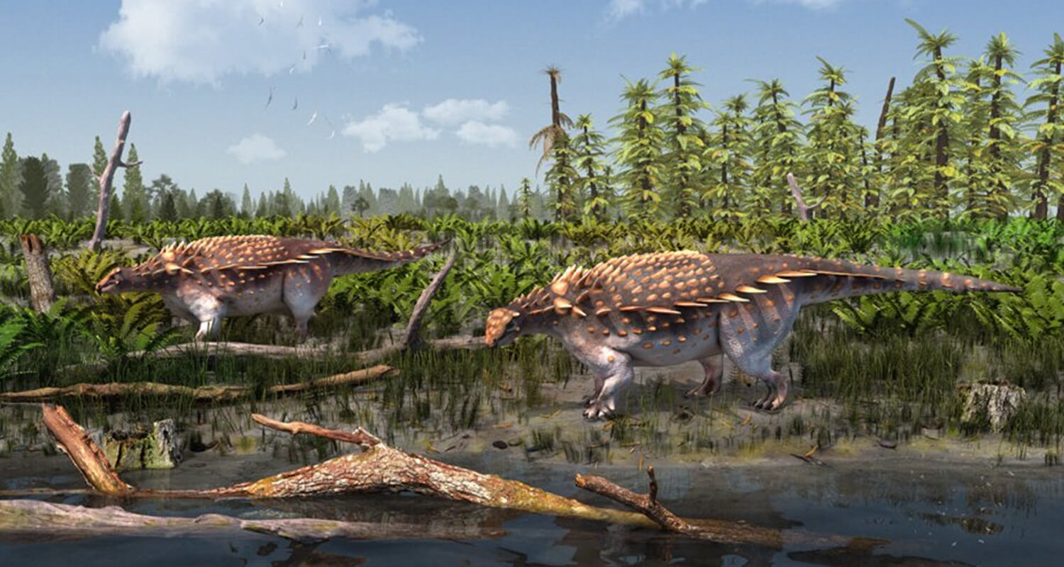 Armored Dinosaurs Natures Fortified Giants 6