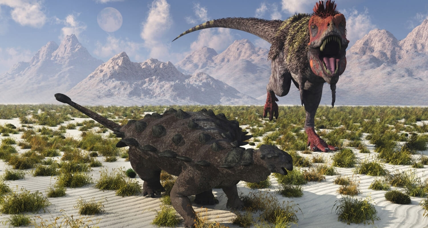 Armored Dinosaurs Natures Fortified Giants 8