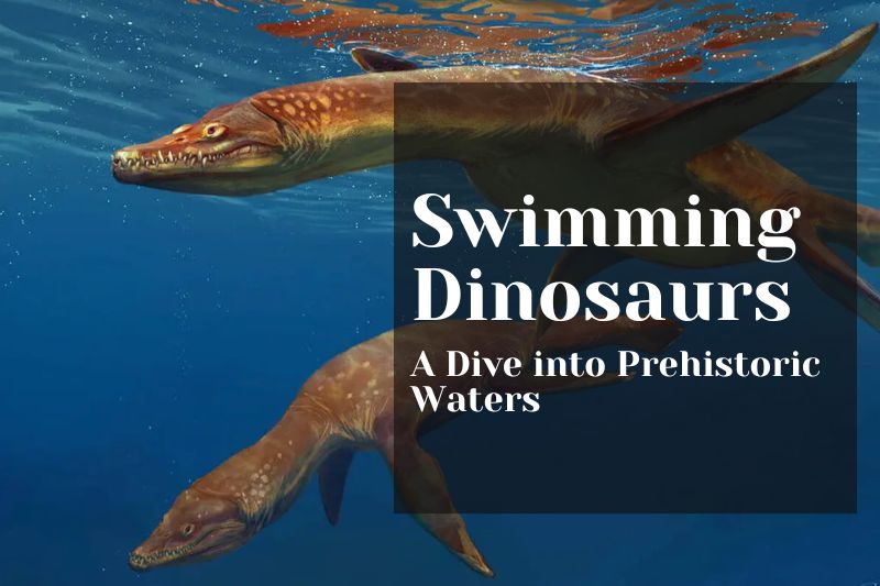 Swimming Dinosaurs: A Dive into Prehistoric Waters
