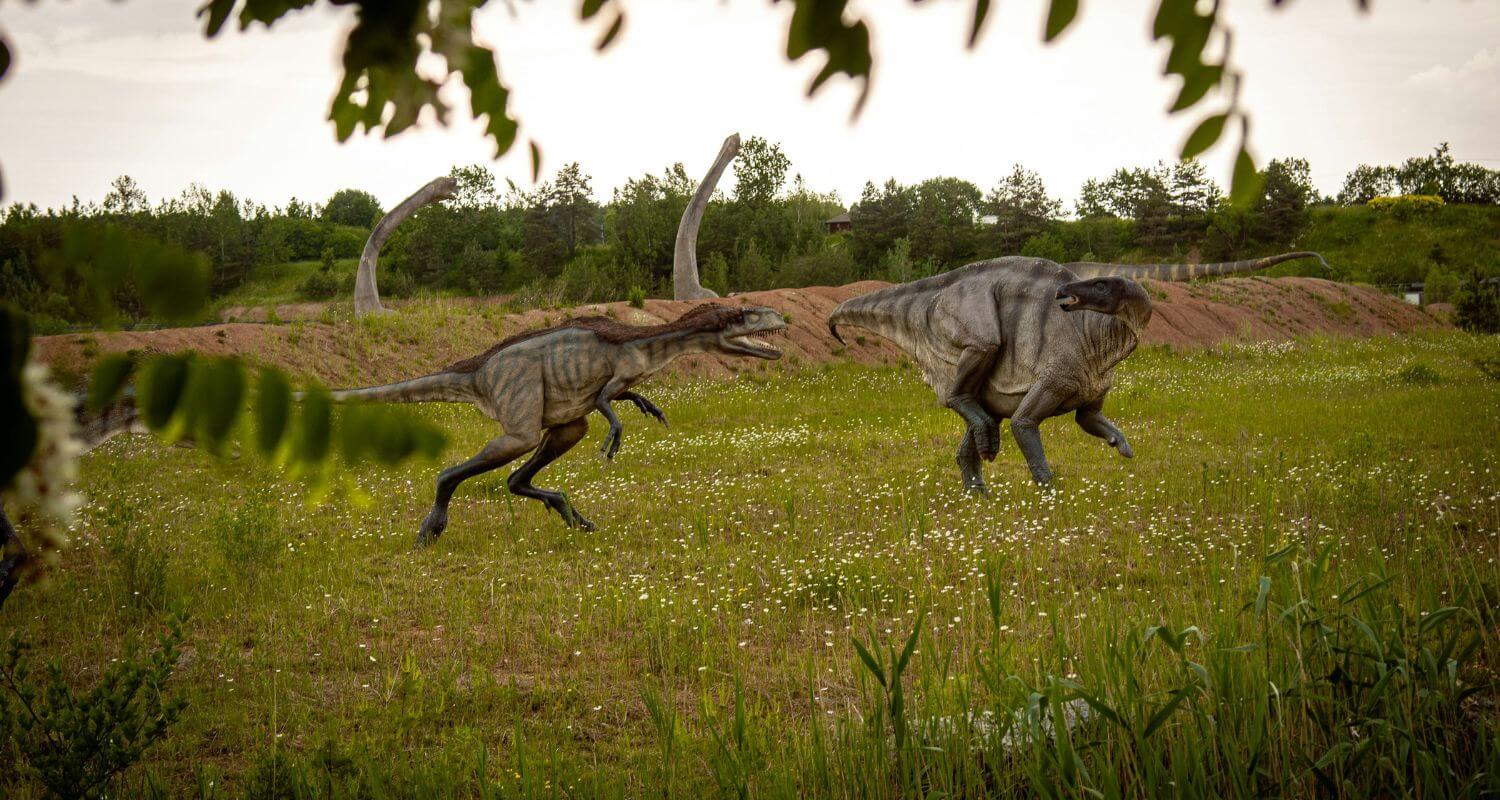Predator vs. Prey How Dinosaurs Maintained the Balance of Ancient Ecosystems 6