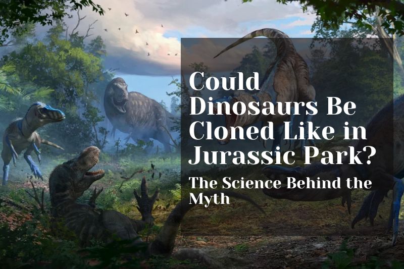Could Dinosaurs Be Cloned Like in Jurassic Park? The Science Behind the Myth
