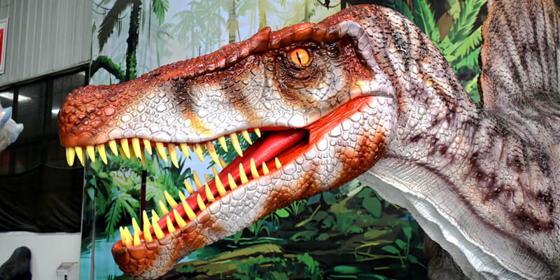 Animatronic Dinosaur Details-Other Details