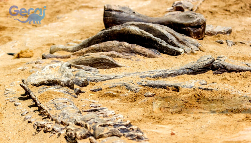 Realistic Dinosaur Fossil Dig