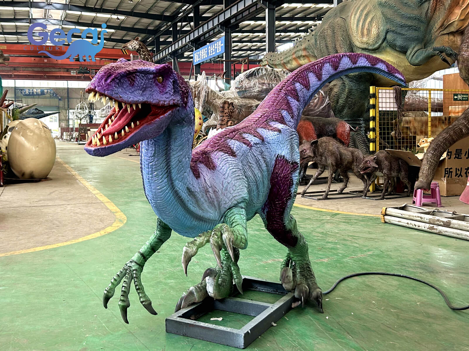 Colored Baby Velociraptor for Park