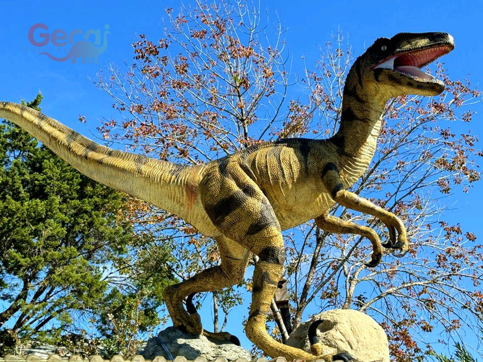 Realistic Animatronic Velociraptor Statue for Sale
