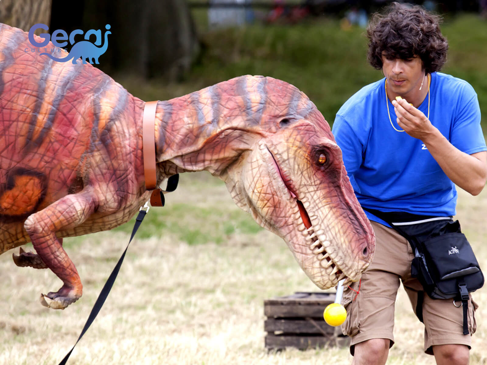 Party Tyrannosaurus Rex Dino Costume for Sale