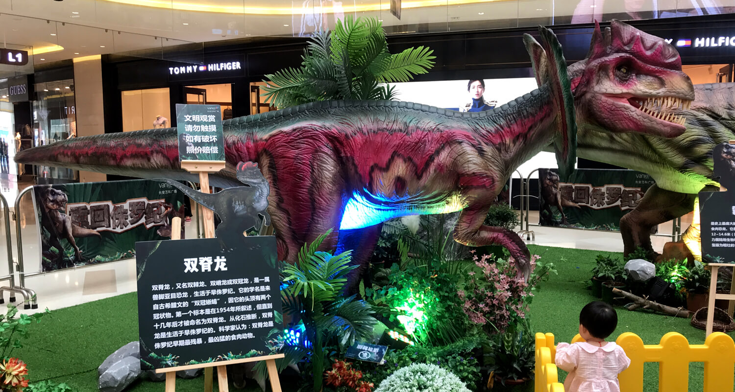 Dinosaur Exhibition in Xi'an