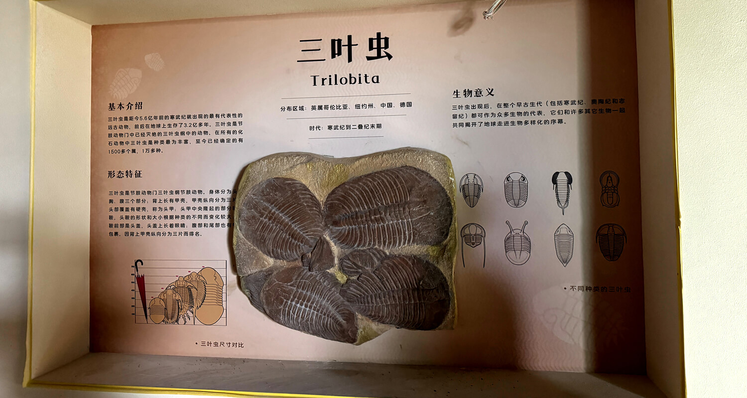 Dinosaur Park in Zhoukou, China