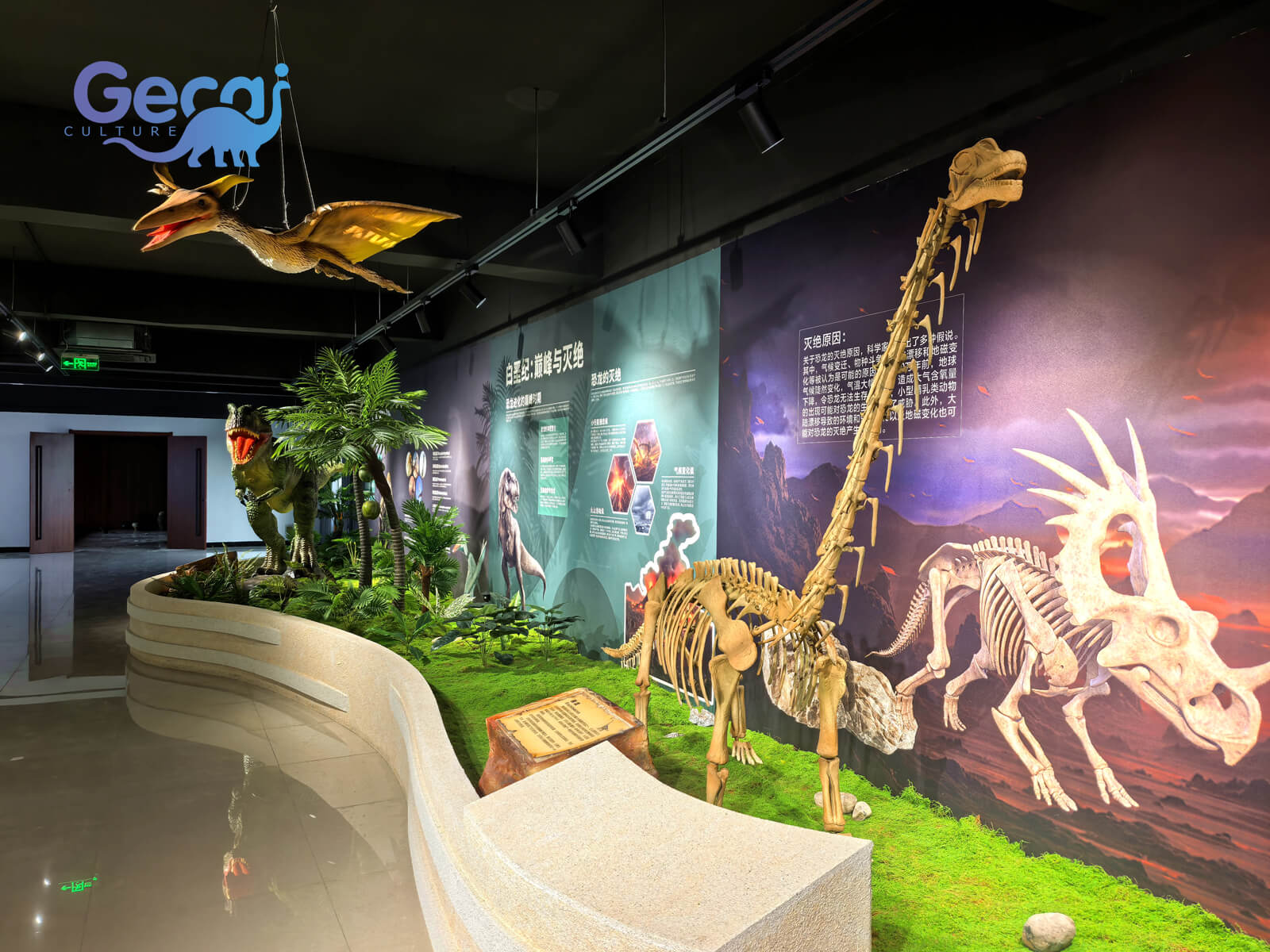 Dinosaur Project in Zhengzhou Museum