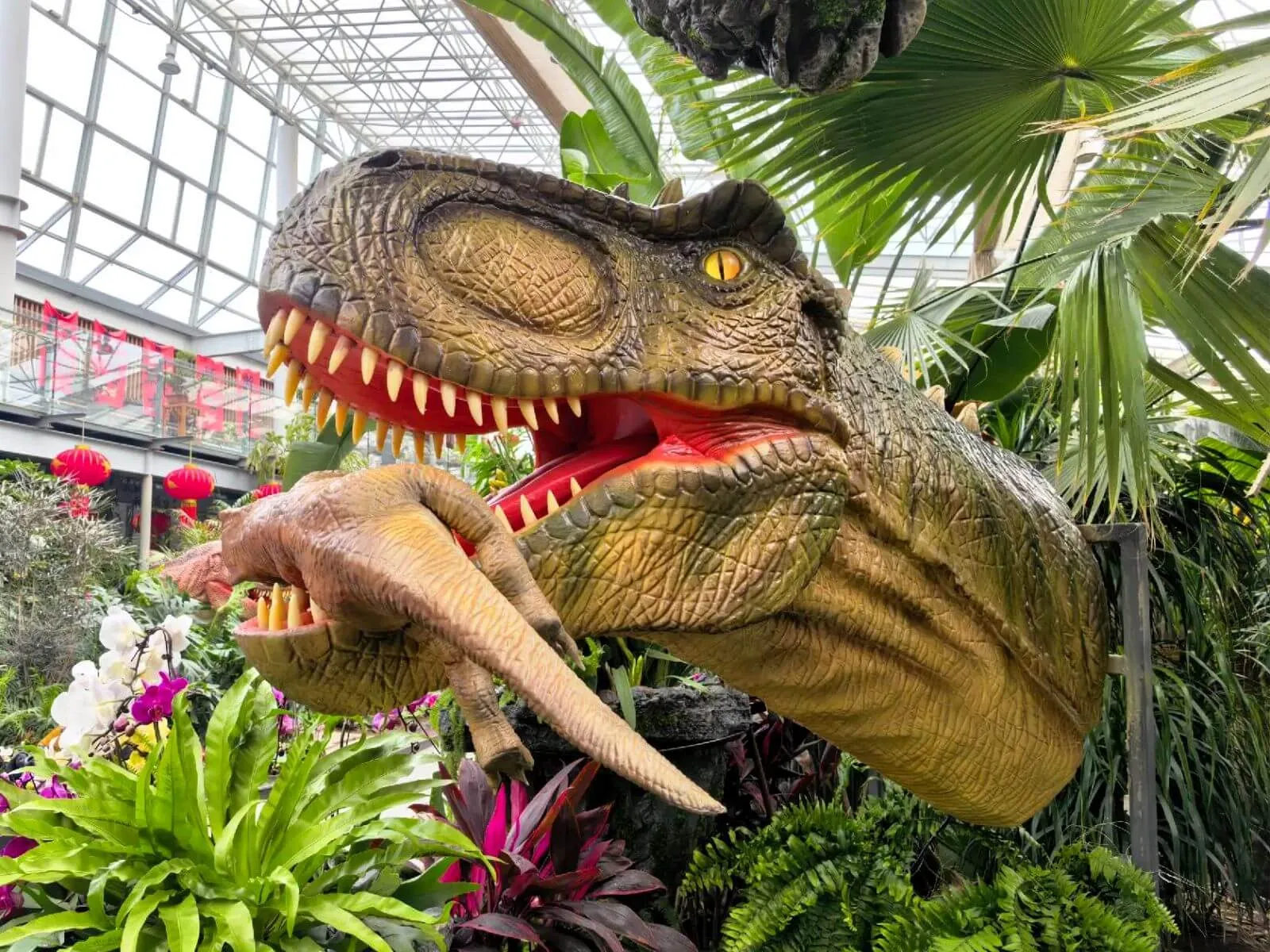 Shenyang World Expo Park Dinosaur Garden, China