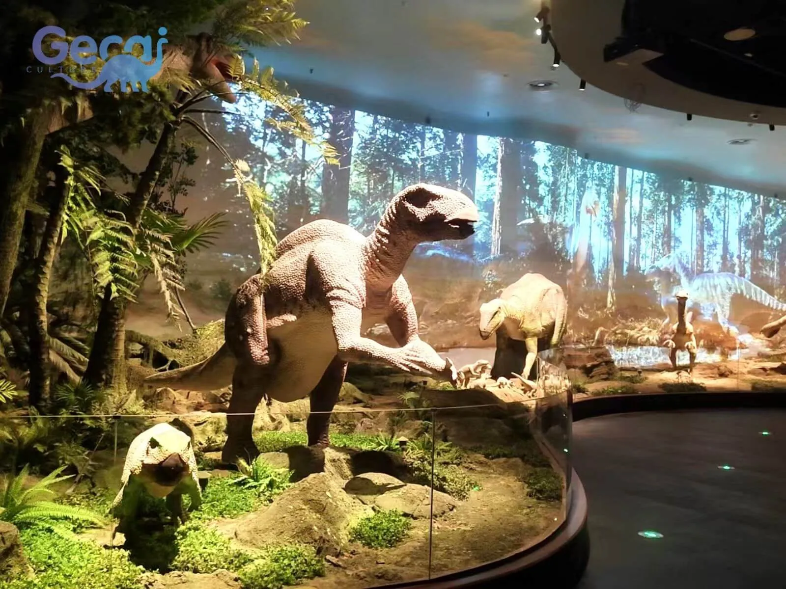 Dinosaur Project in Inner Mongolia Museum