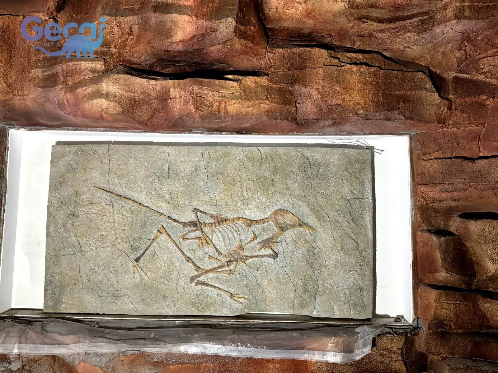 Dinosaur Park in Zhoukou, China