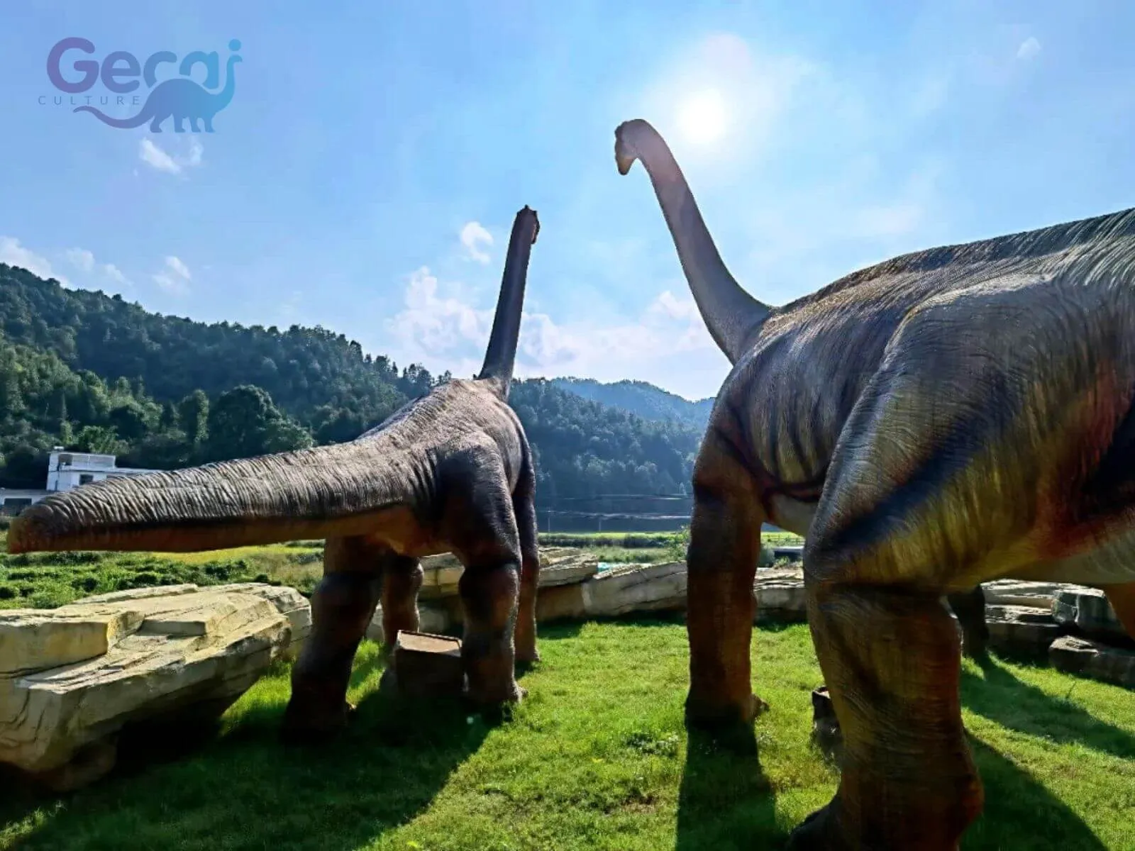 Dinosaur Project in Jiangxi, China